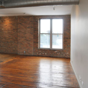 Podmajersky Loft in Pilsen East, Chicago